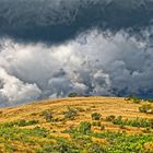 la savane de l'ouest 