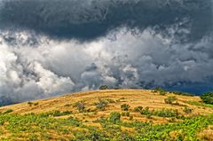 la savane de l'ouest 