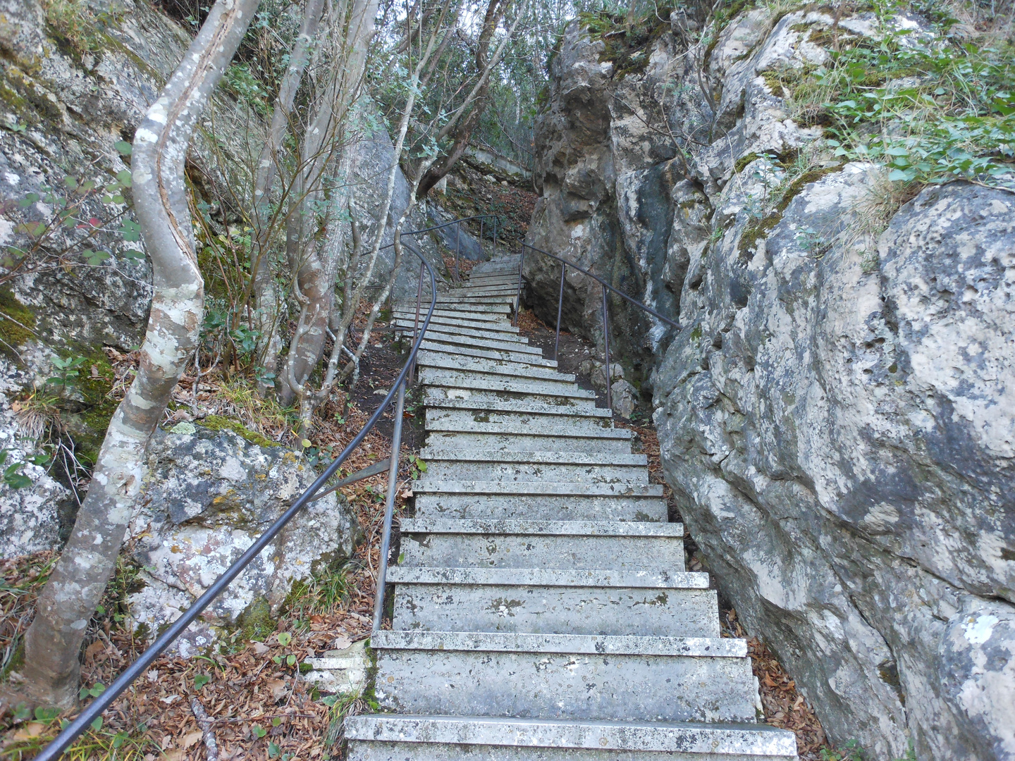 La scala della Santità