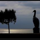 " La sculpture du Cormoran Breton "