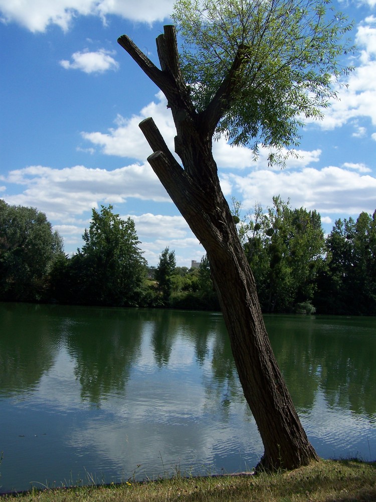 La Seine