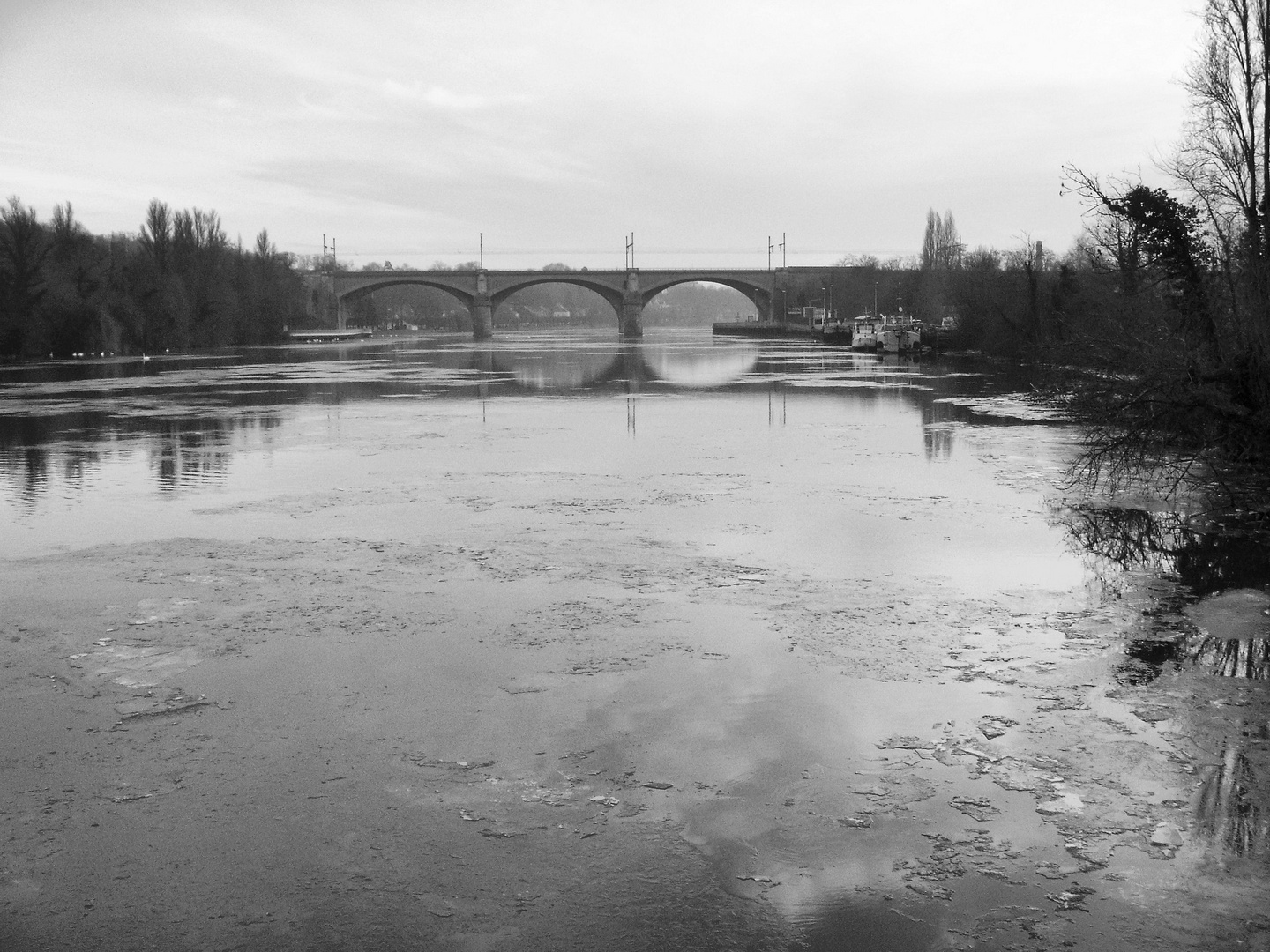 La Seine gèle