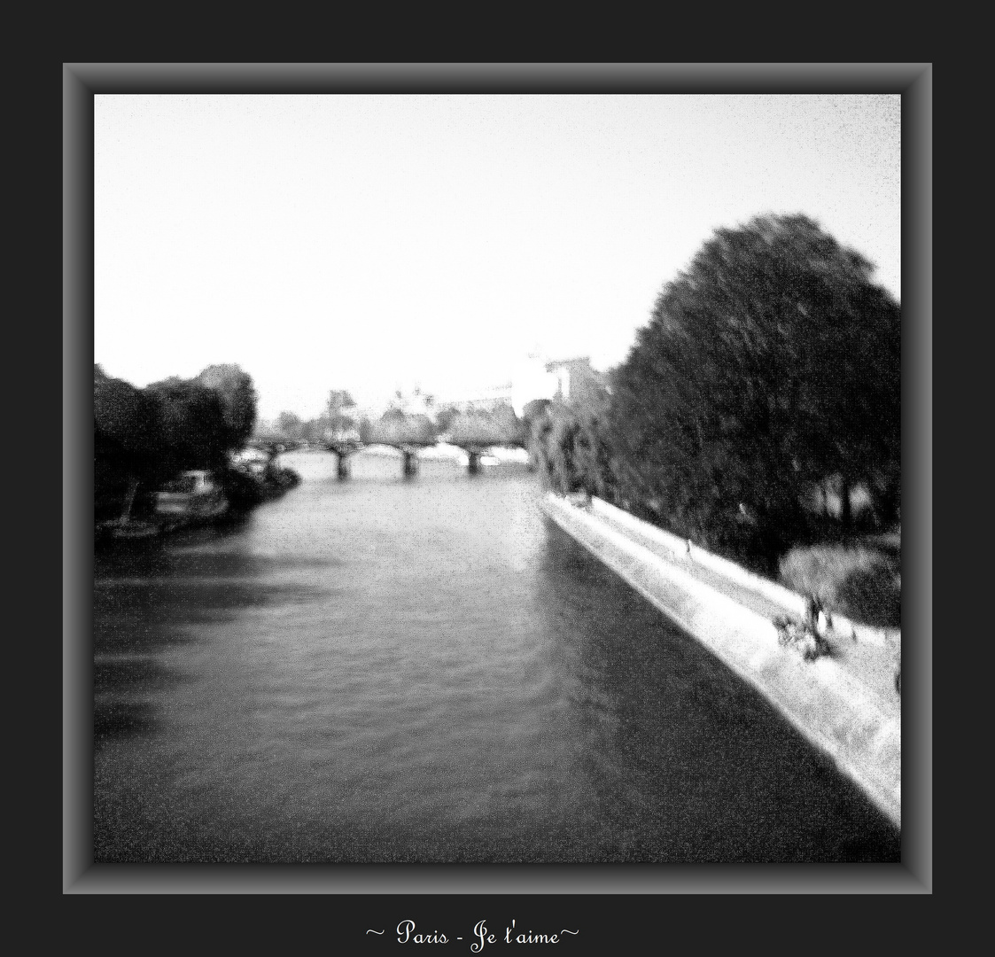 La Seine - Paris je t'aime