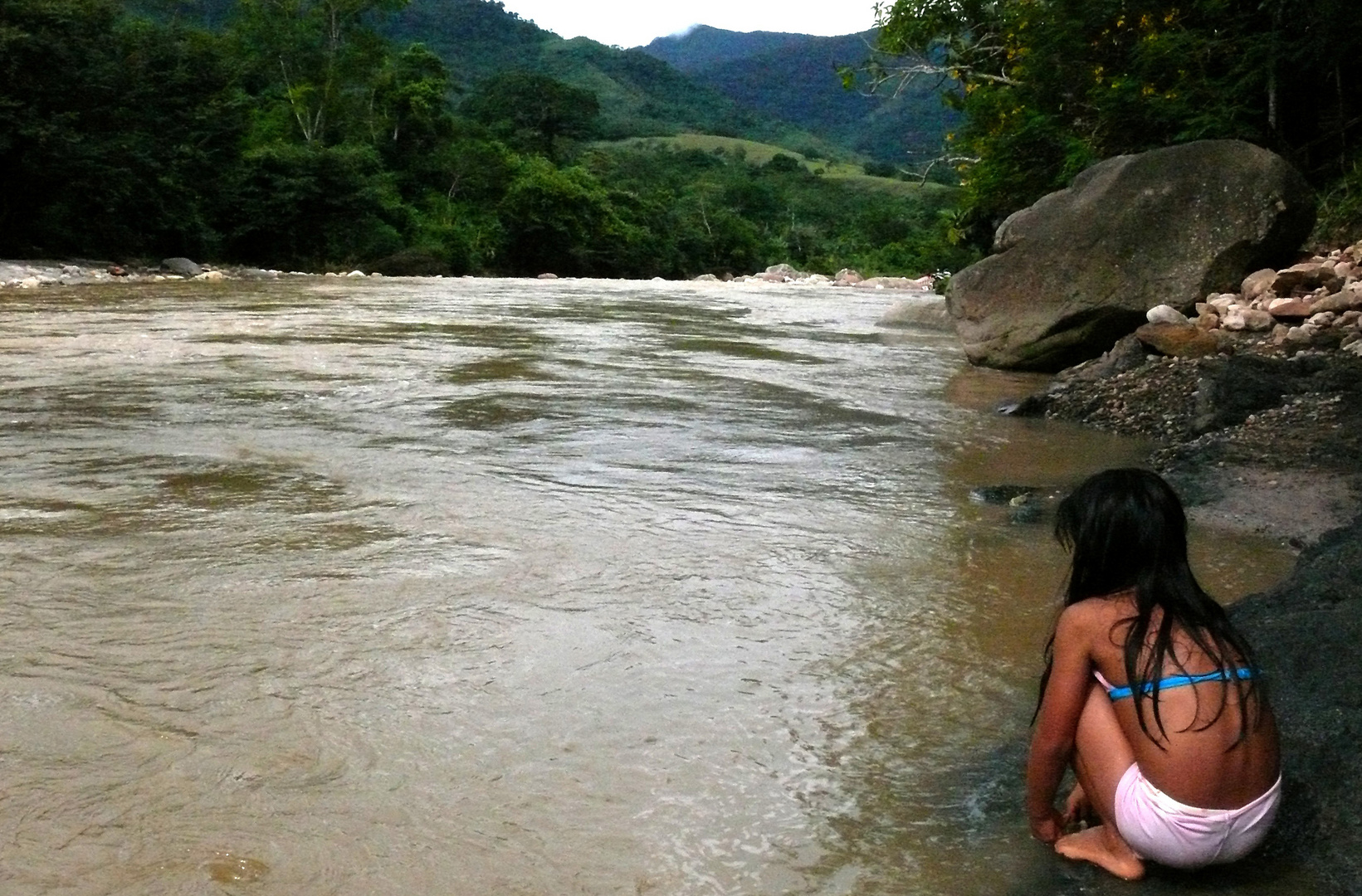 LA SELVA PERUANA