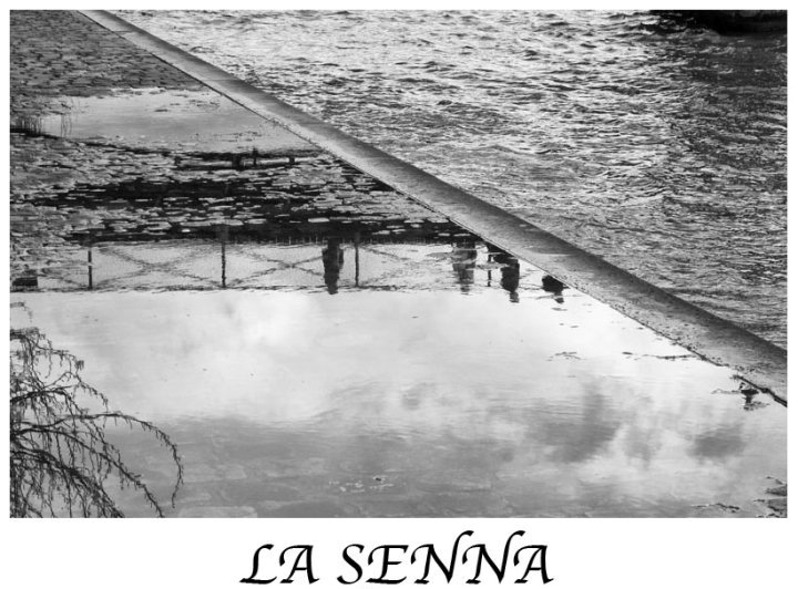 La senna