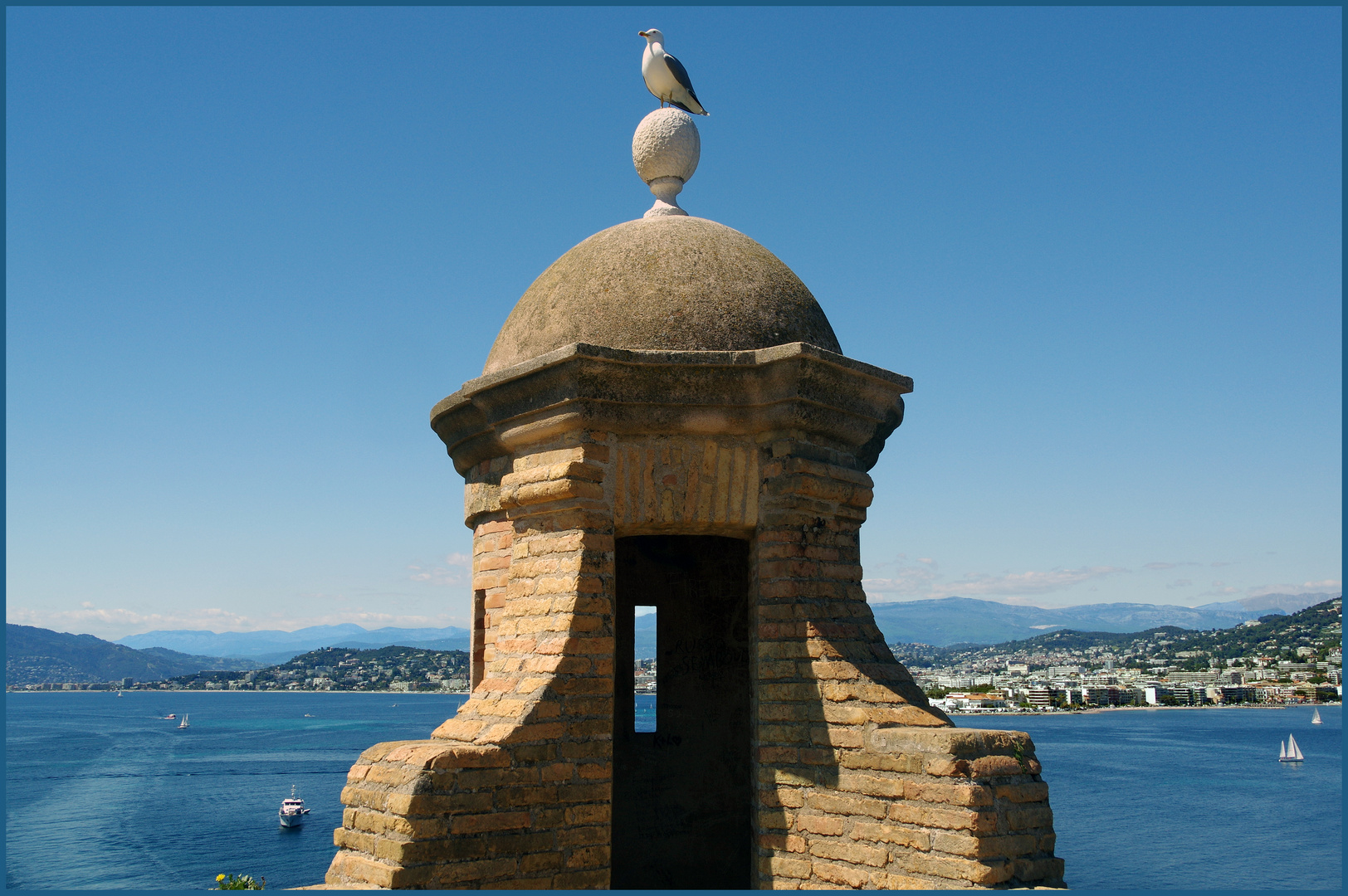 la sentinella.... Foto Immagini animali, natura, gabbiano Foto su
