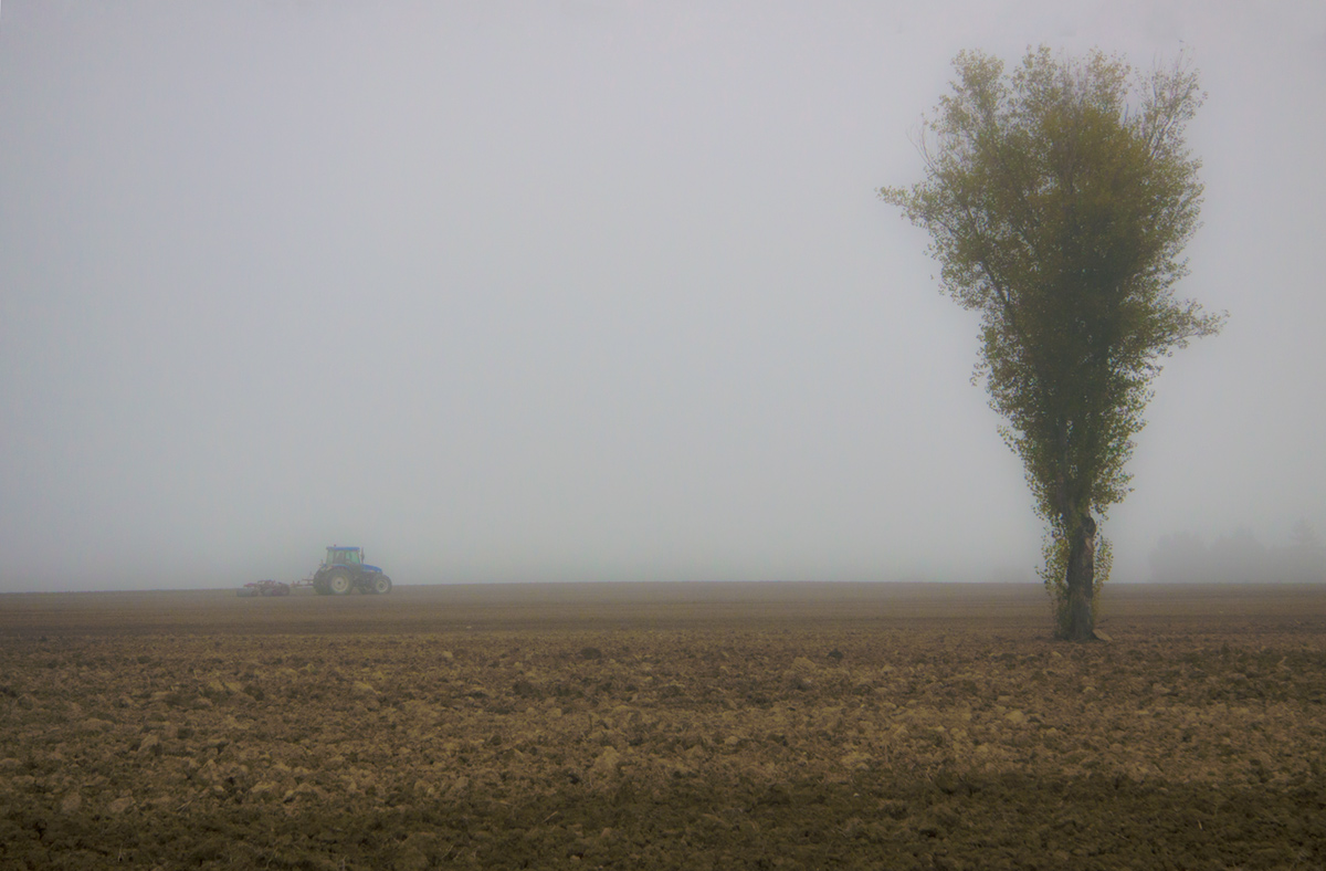 la sentinella