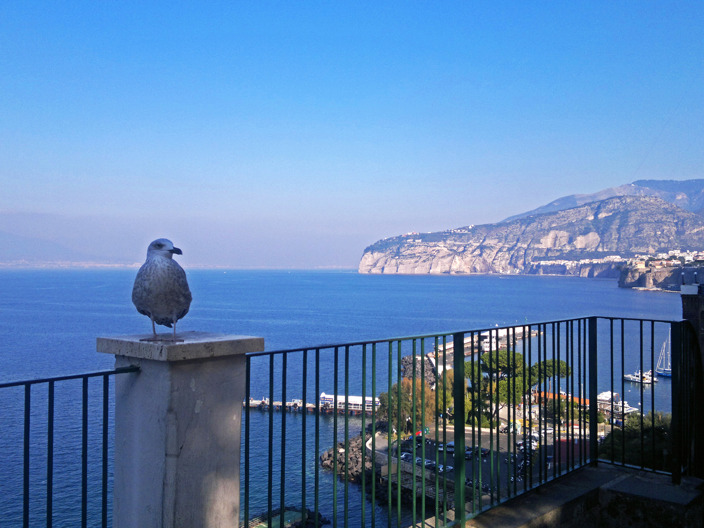 La sentinella di Sorrento