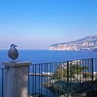 La sentinella di Sorrento