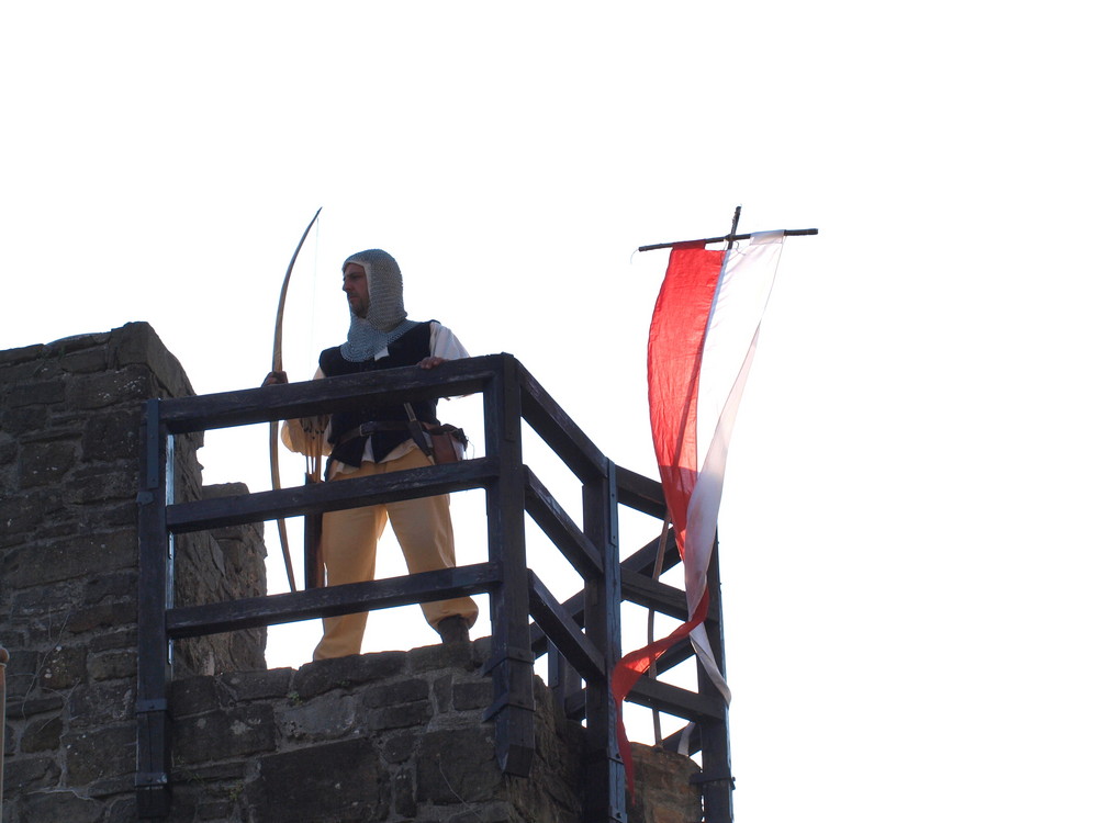 la sentinella di enzo comelli 