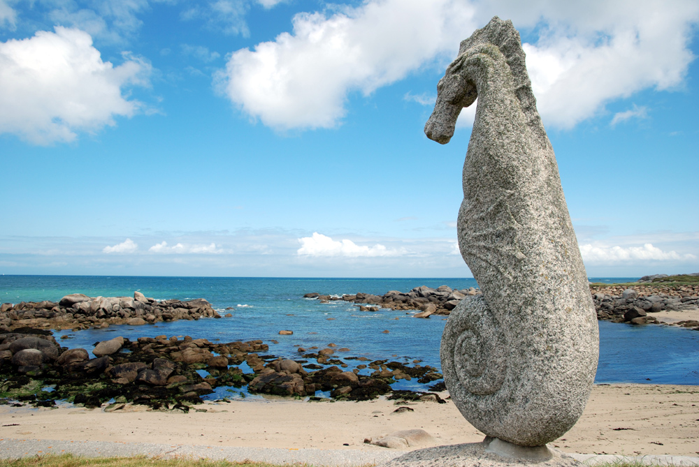 la sentinelle de la mer de pingouinrigolo 