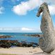 la sentinelle de la mer