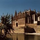 La Seo Kathedrale auf Mallorca