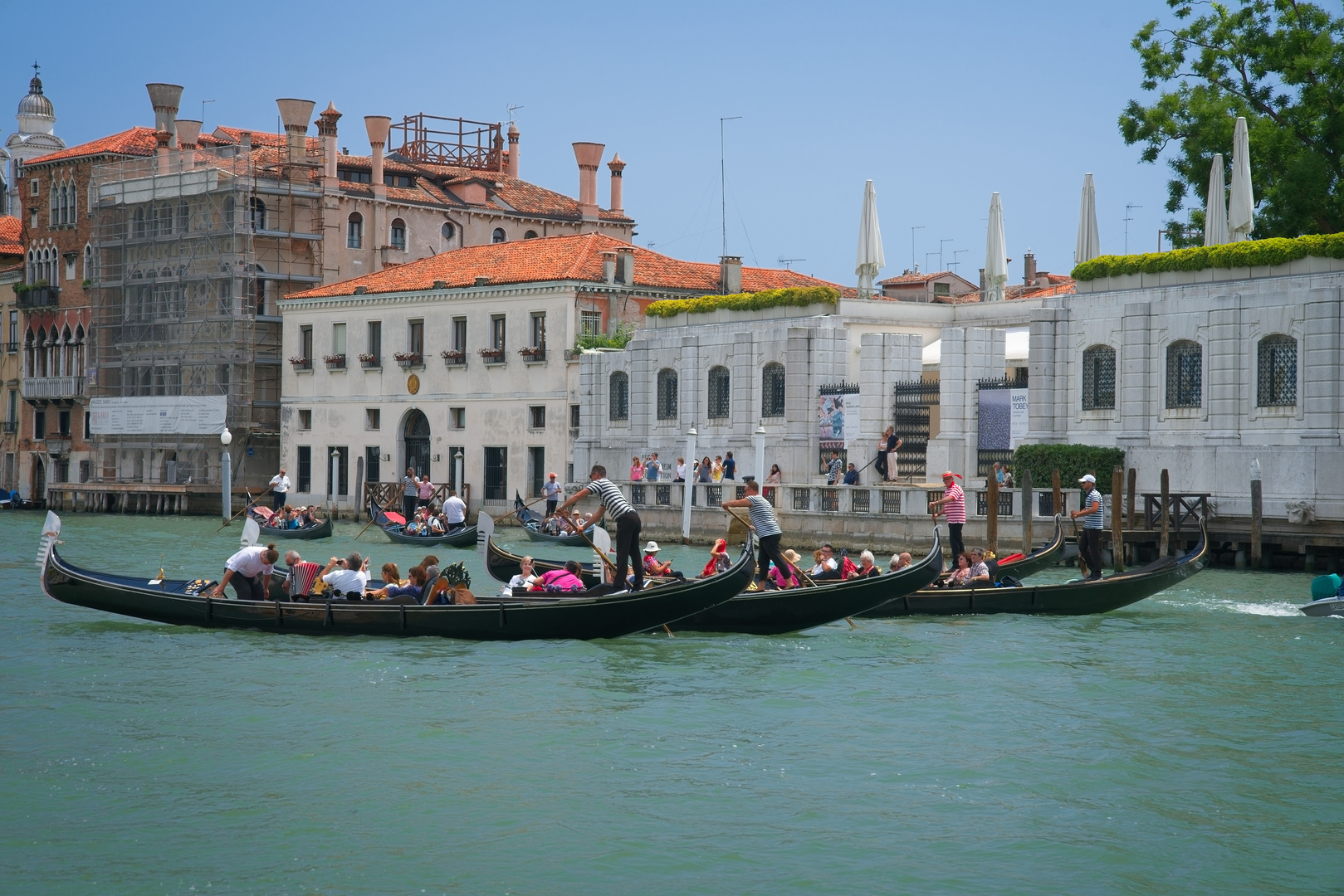 La Serenissima - i sette gondoglieri