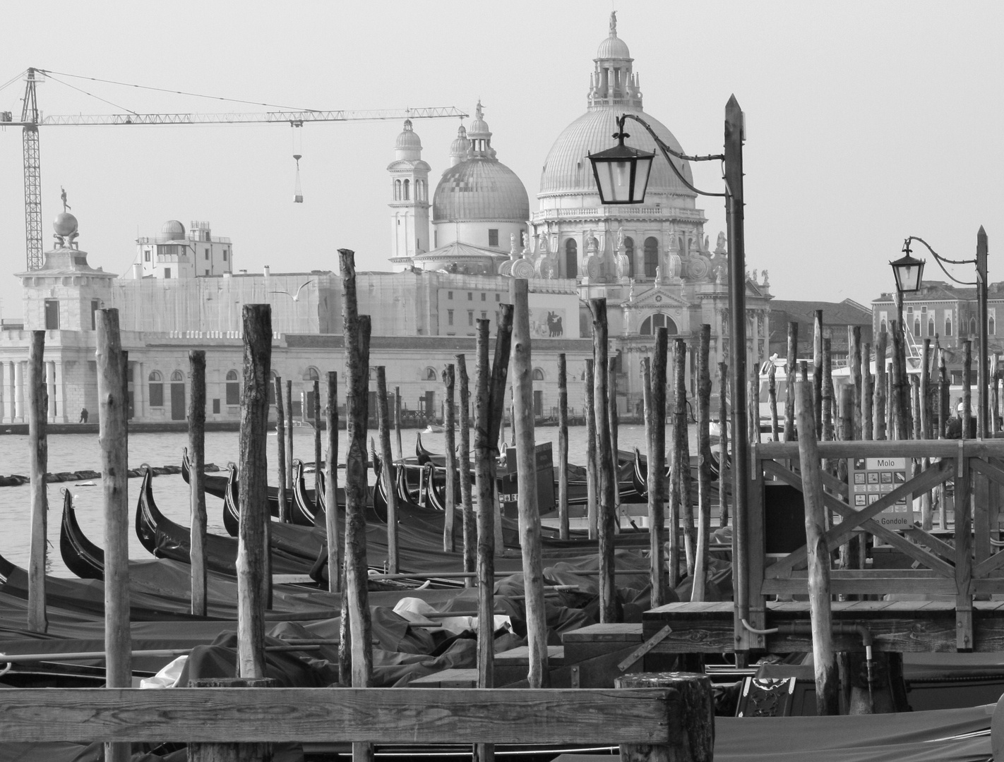 la serenissima, jan. 2011