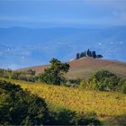 La serenità della mattina