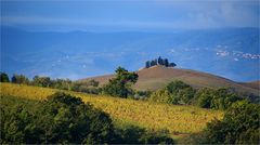 La serenità della mattina