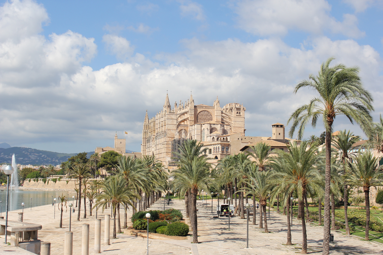 La Seu aus einer anderen Perspektive