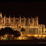 LA SEU BEI NACHT