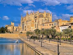 La Seu Catedral