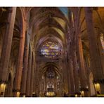 La Seu, die cathedrale in....