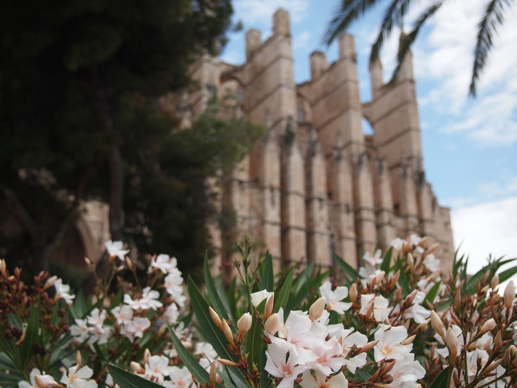 La Seu - die Kathedrale von Palma