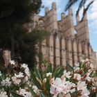 La Seu - die Kathedrale von Palma