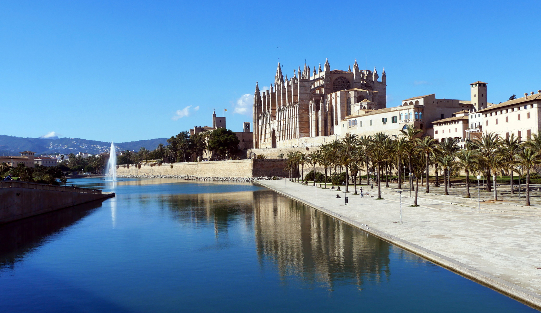 «La Seu»