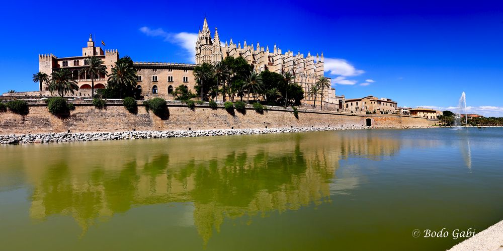 La Seu im Spiegel