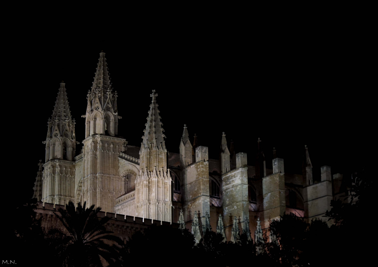 La Seu, invierno 2012