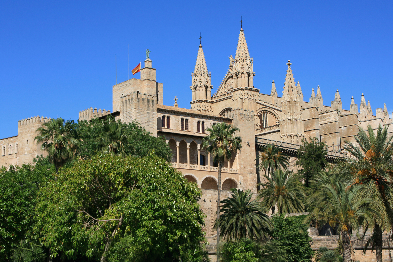 La Seu Palma