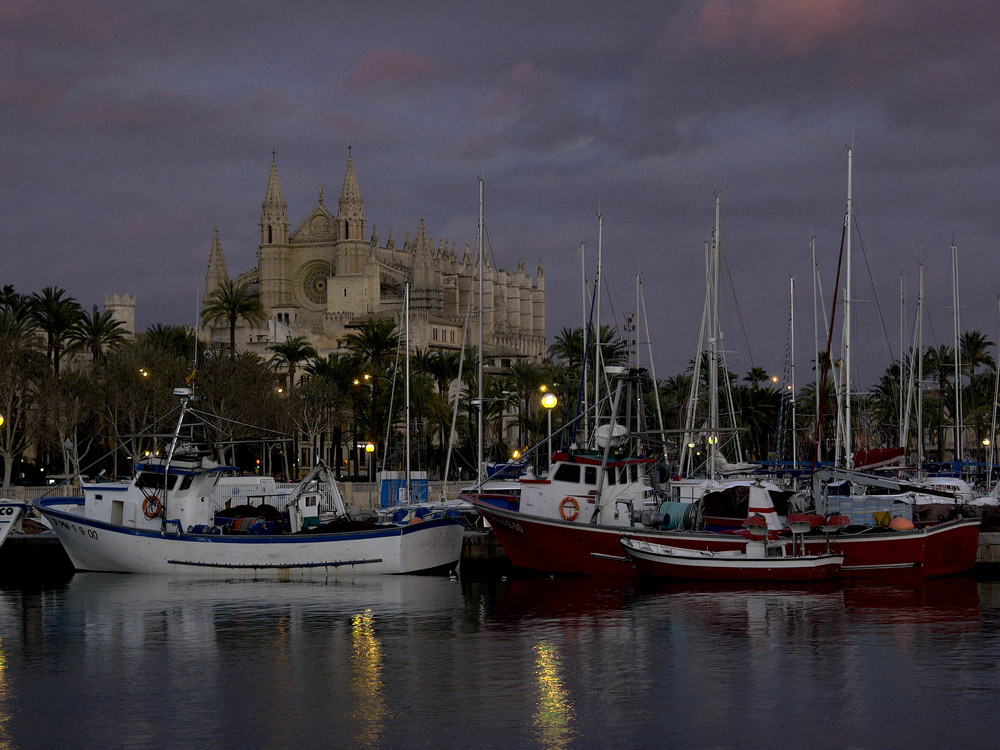 La Seu - vom Fischhafen aus