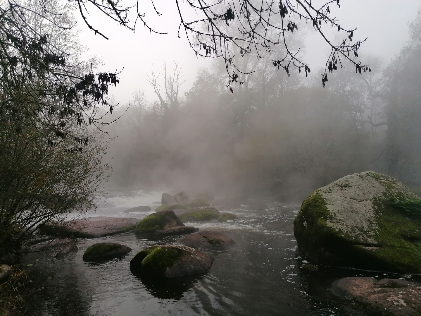 LA SEVRE NANTAISE