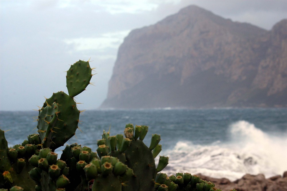 La Sicilia nel particolare