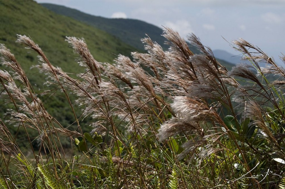 La sierra