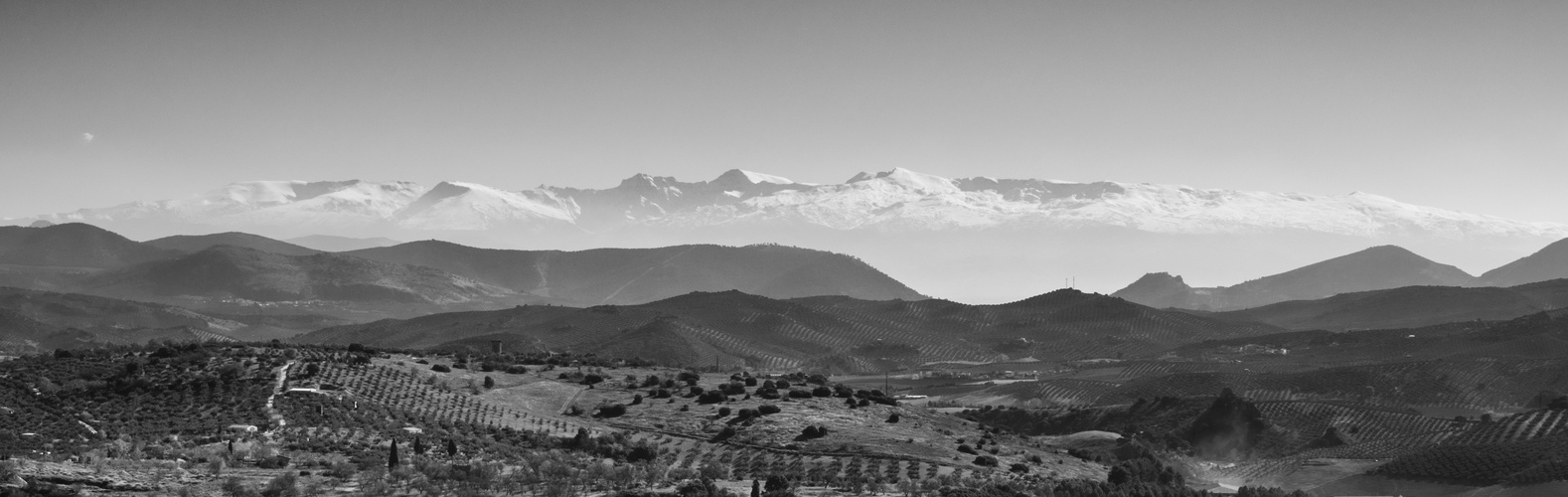 La Sierra Nevada oltre gli uliveti