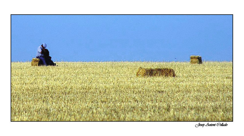 La siesta del pastor - The shepherd's siesta