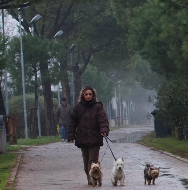 La signora con i cani