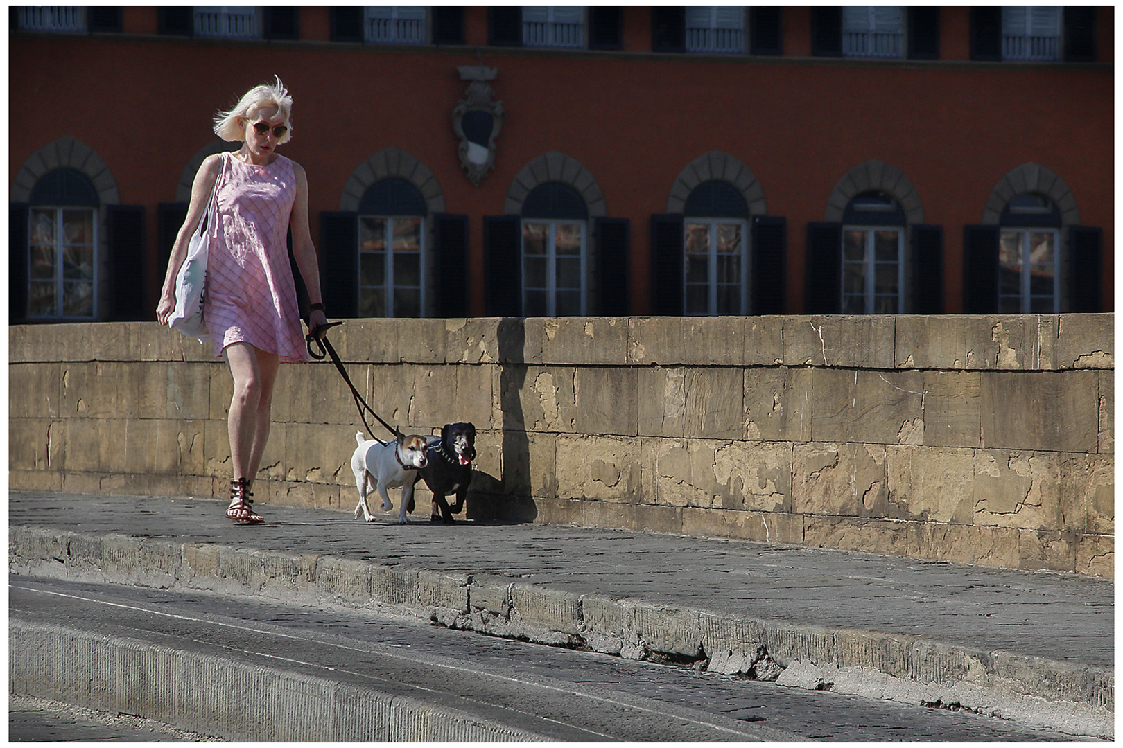 La signora dei cagnolini