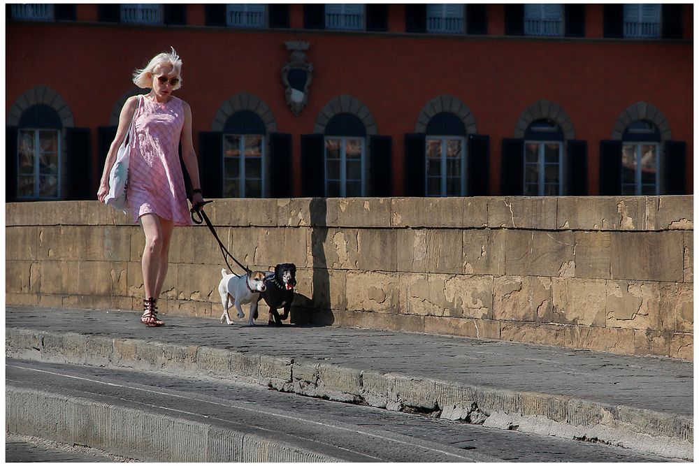 La signora dei cagnolini