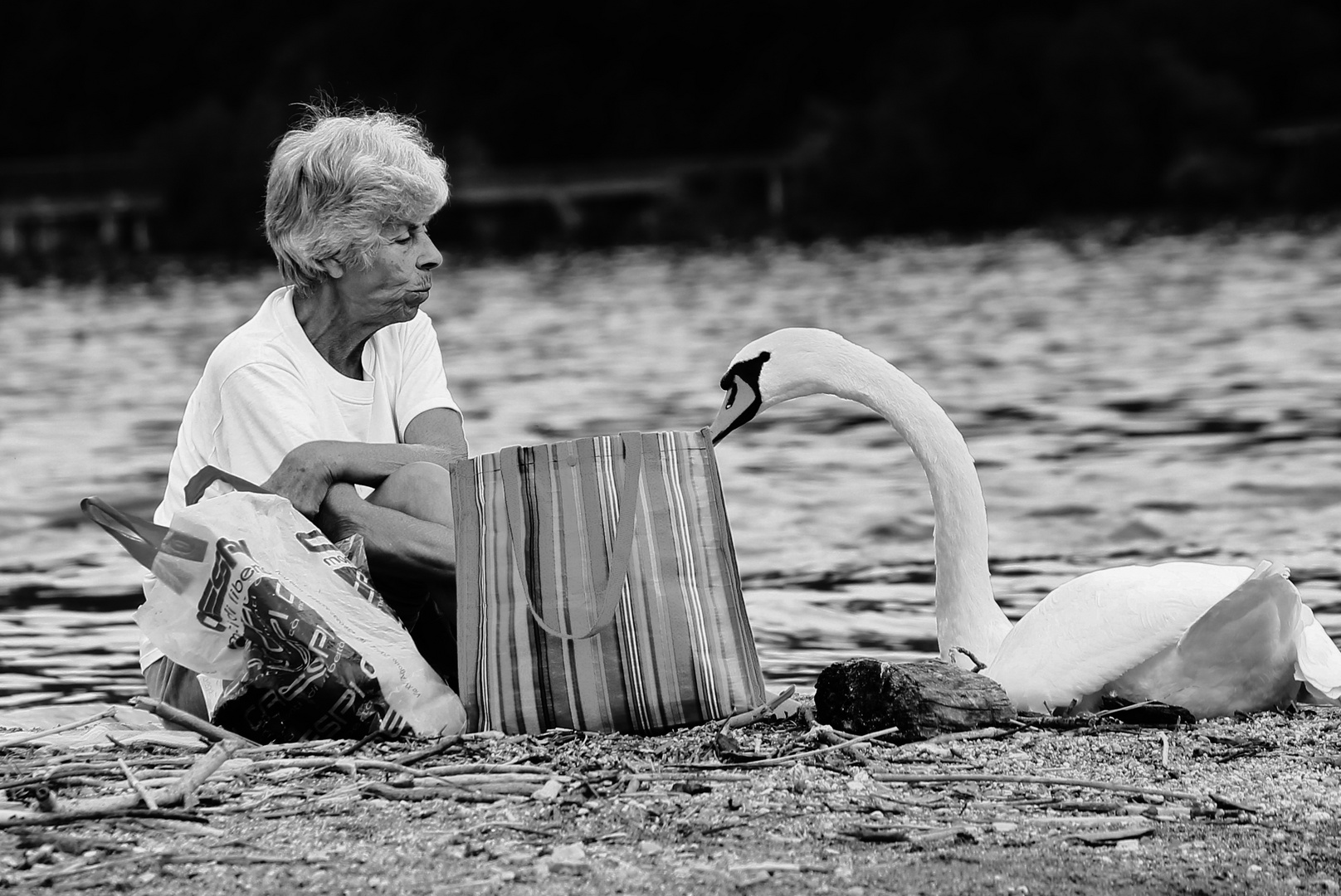 La signora e il cigno