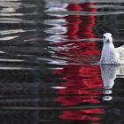 la signora in rosso