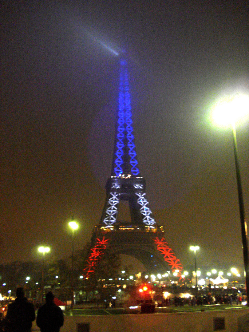 La signora Tour Eiffel