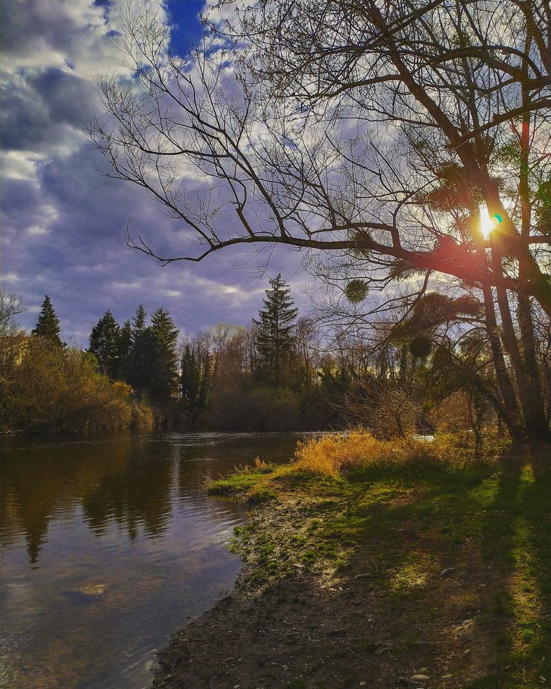 La Sioule,  rivière sauvage en Auvergne