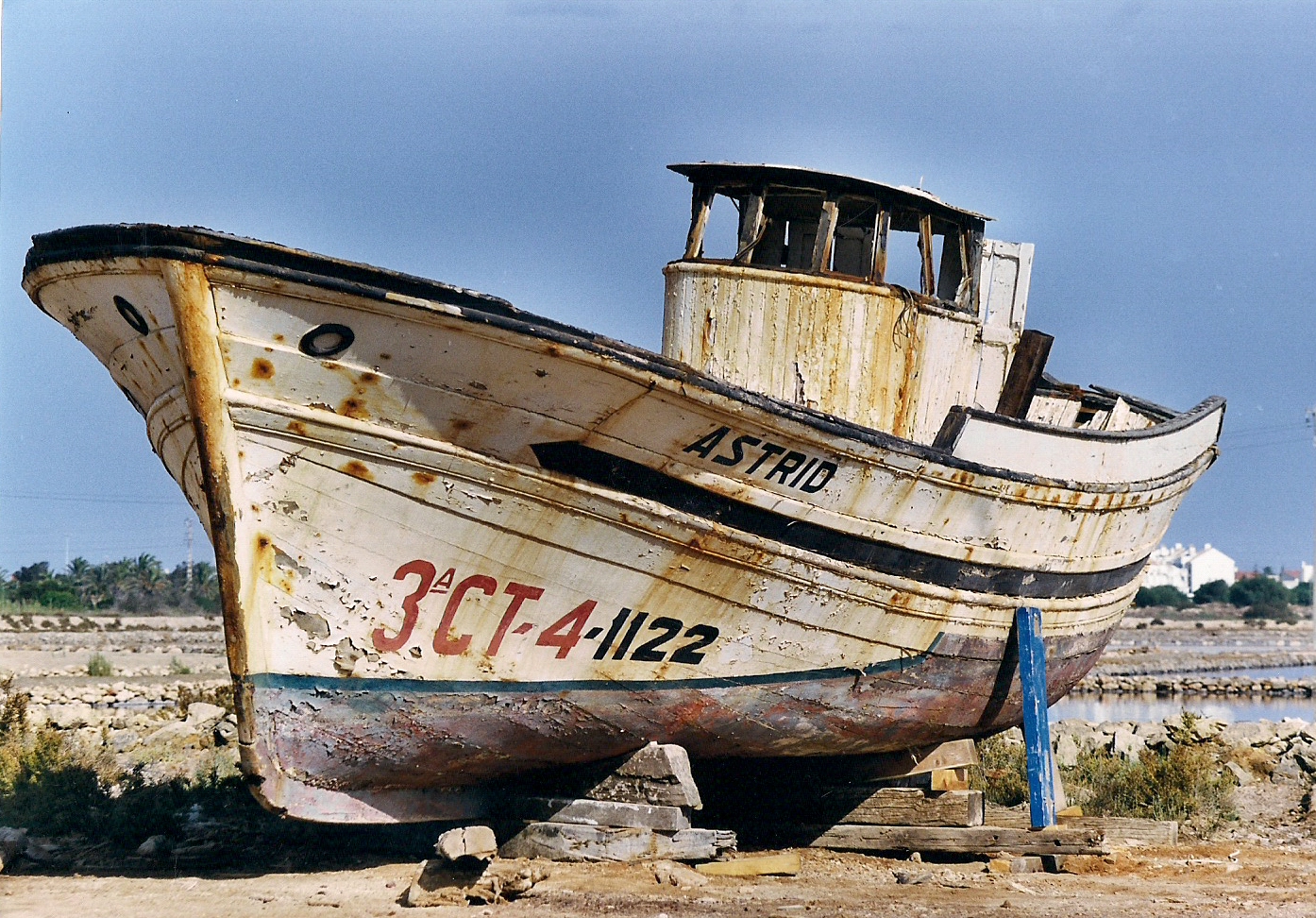 LA SIRENA VARADA