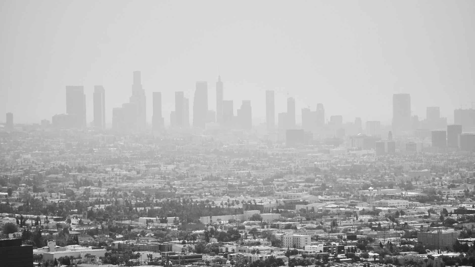 L.A. skyline