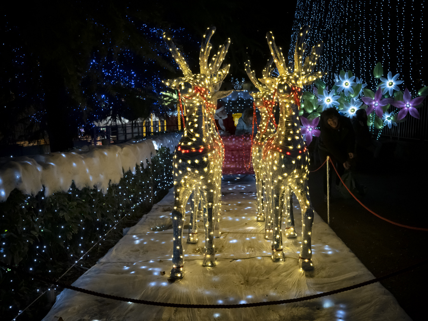 La slitta di Babbo Natale a Leggiuno