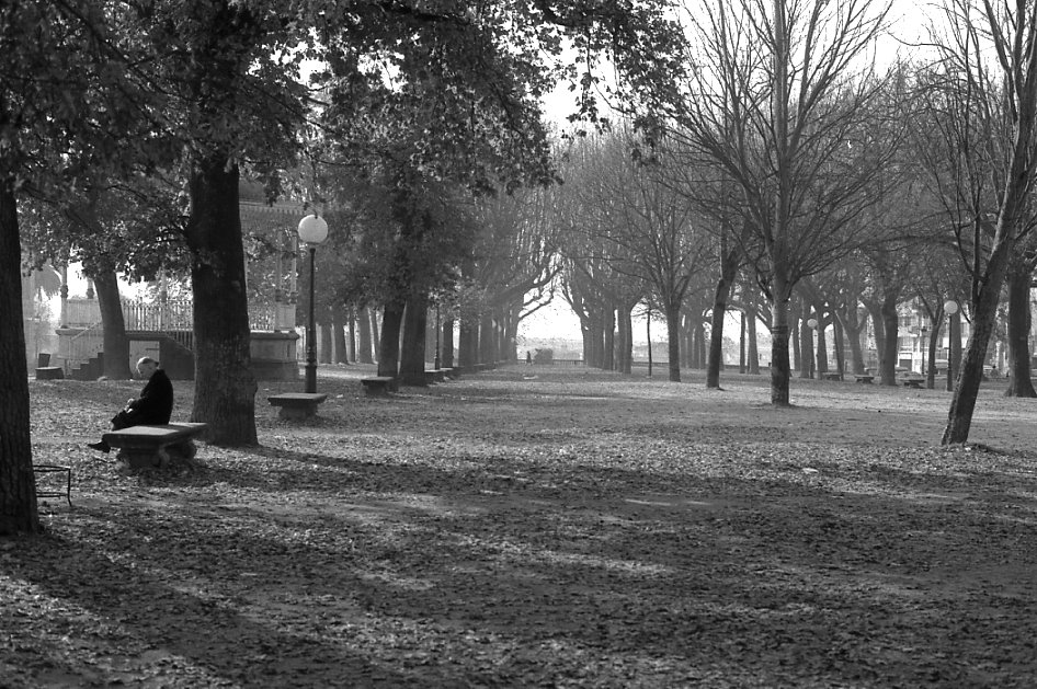 La soledad del parque - año 1983