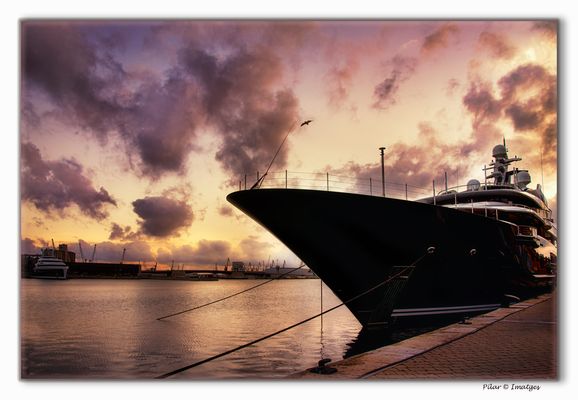 La soledad del poderoso