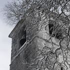 La soledad del viento